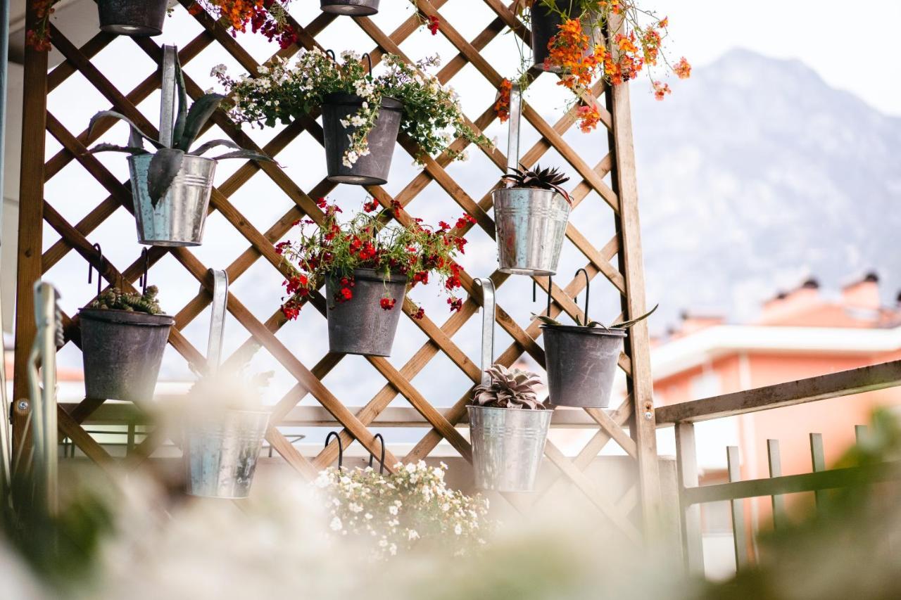 Dolce Casa *
